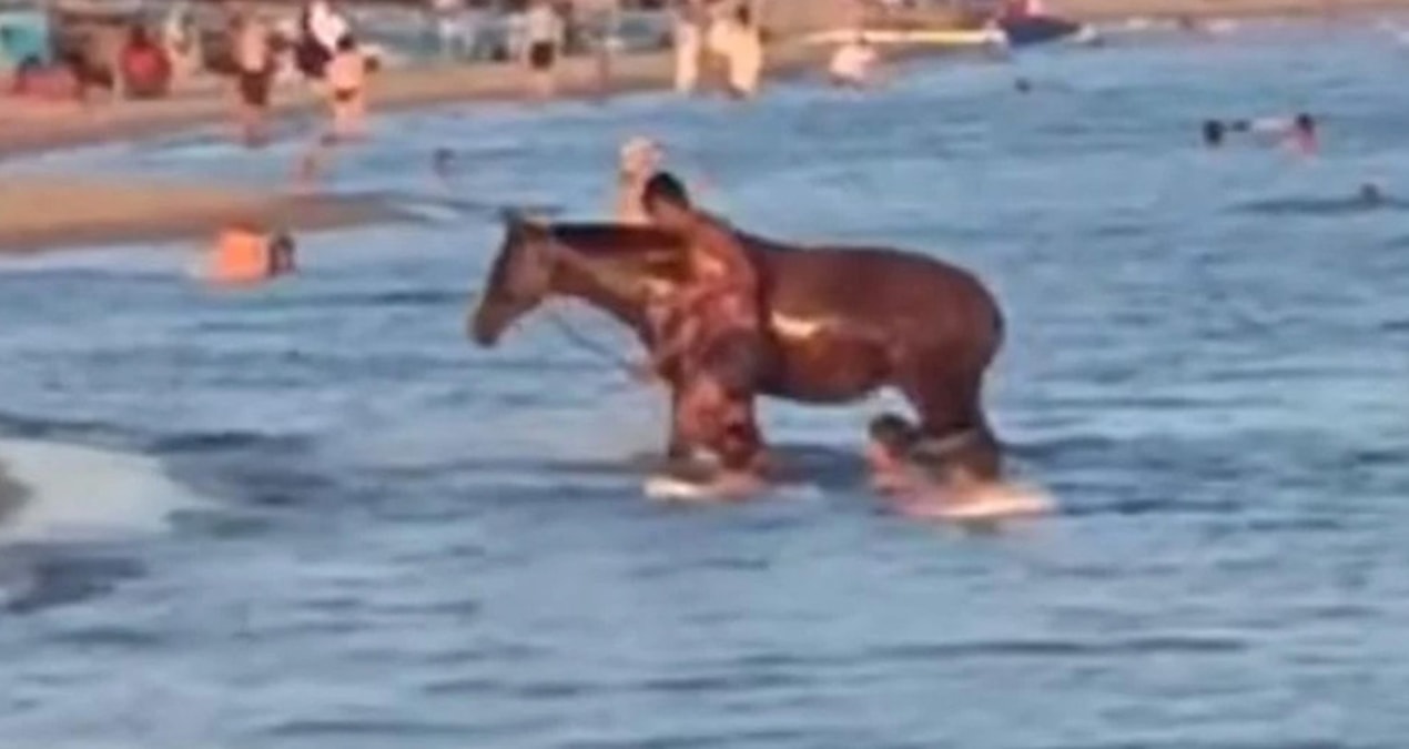 Serinlemek için atıyla denize girdi
